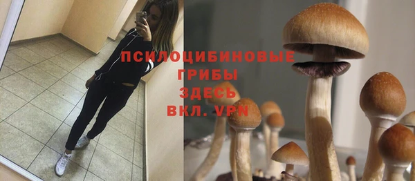 прущая мука Горнозаводск
