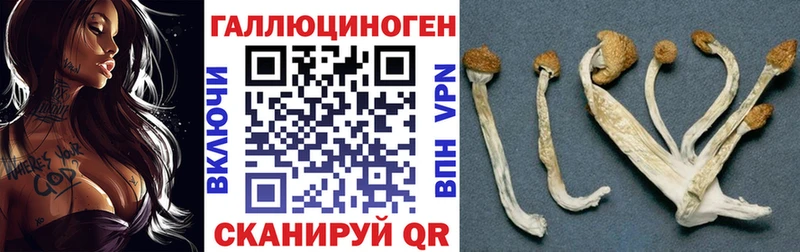Галлюциногенные грибы GOLDEN TEACHER  Черноголовка 